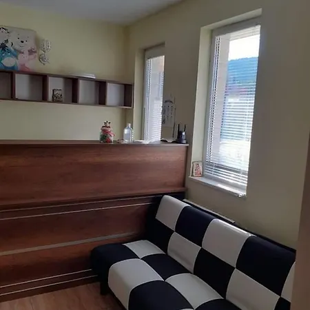 радина Guest house *