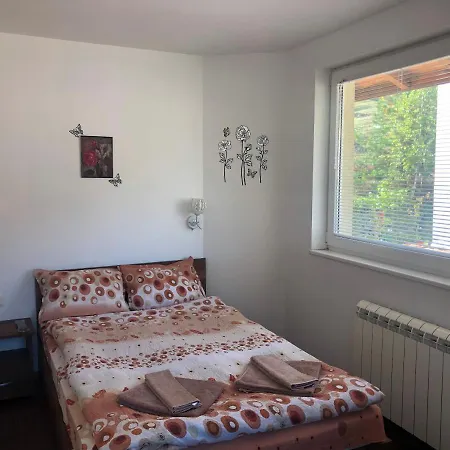 Guest house къща за гости радина *