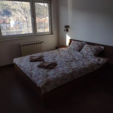 Guest house радина *