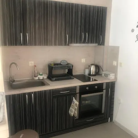 Guest house къща за гости радина *